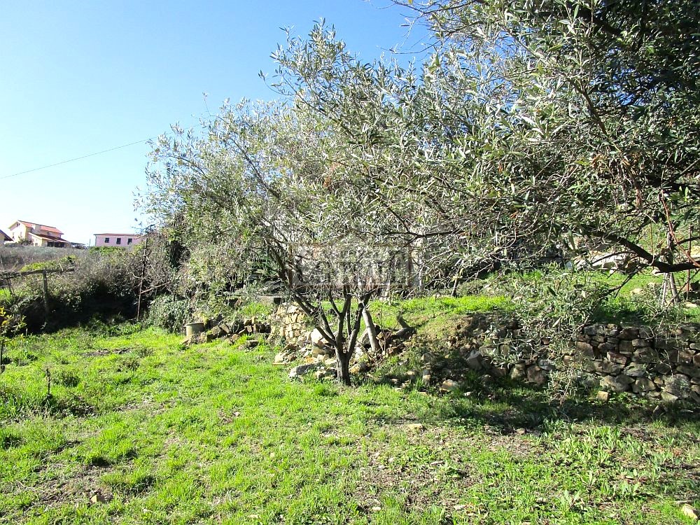 Agenzia Immobiliare Centrale Sanremo
